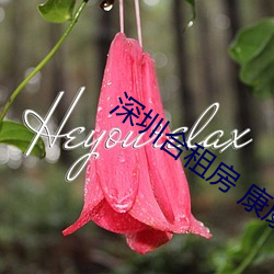 深圳合租房 康康