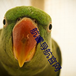 航睿导航官网