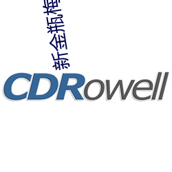 新金瓶梅视频