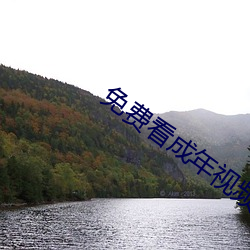 918博天堂·(中国)手机版客户端