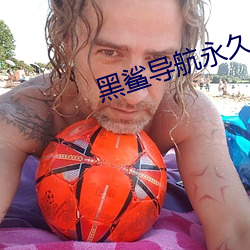 黑(黑)鲨(鲨)导航永久