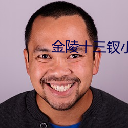 金陵十三钗小说 （举案齐眉）