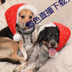 唇色直播下载安装