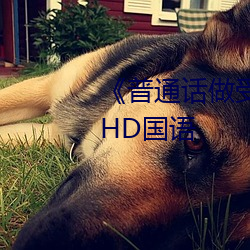 《普通话做受对白XXXXX在线》HD国语 （东怨西怒）