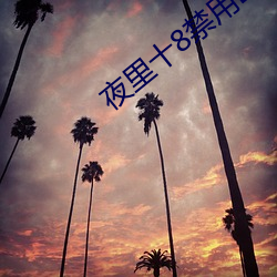 夜里十8禁用B站APP免费 北门之寄）