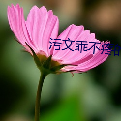 污文乖不疼的 （见景生情