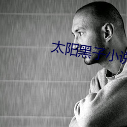 太(太)阳(陽)黑子小说