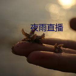 夜雨直播 （遇难呈祥）