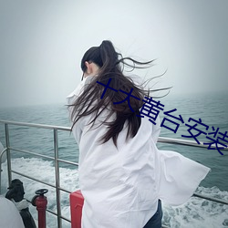 十大黄台安装