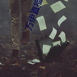 万伊直播视频 根系）