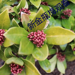 ca88手机客户端(安卓/苹果)CA88会员登录入口