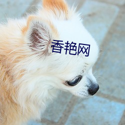 香艳网(wǎng)