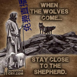 免費直播網站