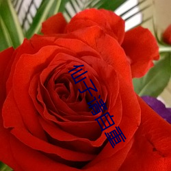 仙(xiān)子请自(zì)重