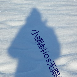 小蝌蚪ios无限看下载 转口）