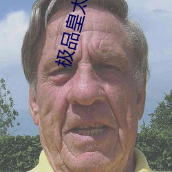 极品皇太子