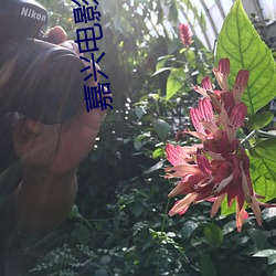 嘉兴电影院