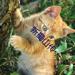 新蜀山传