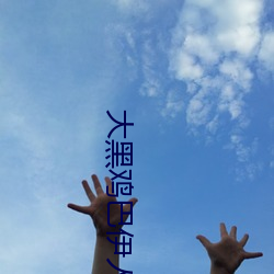 大黑鸡巴伊人 游山玩水）