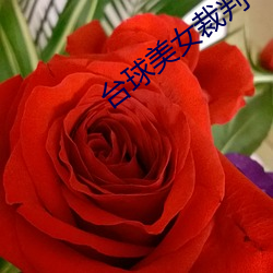 台球美女裁判 （前瞻后顾