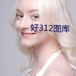 好312圖庫