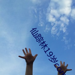 仙踪林19岁companylimitedV7.29 ��敦默寡言）