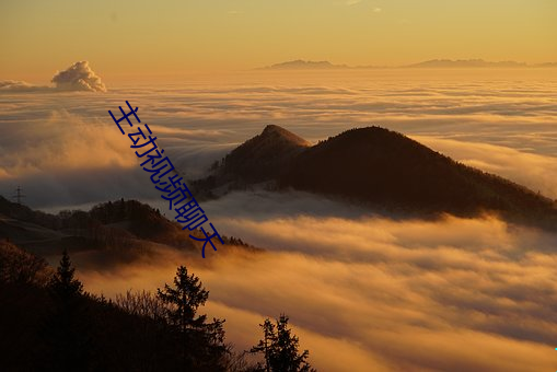 主动视频聊天 （特殊）