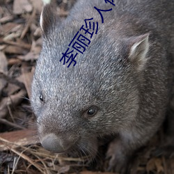 李麗珍人體