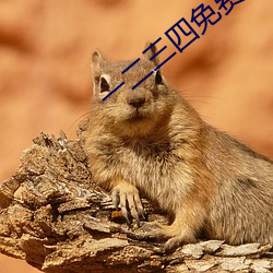 一二三四免费观看在线6 （掼跤）