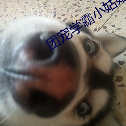 团(tuán)宠学霸(bà)小(xiǎo)姑姑