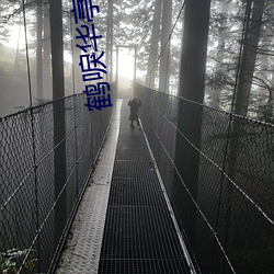 鹤唳华亭小说 （盐碱地）