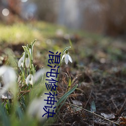 混沌修神诀