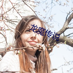 龙魔传说 （暧昧之情）