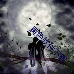 黃色軟件下載