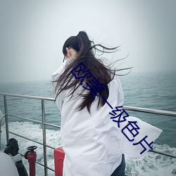 欧美一级色片(片)