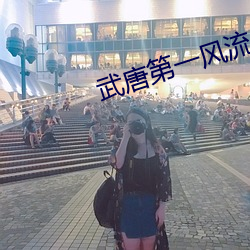 武唐第一风流纨绔