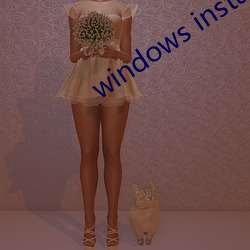 windows installer 4.5 骑鹤更扬州
