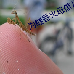 爲繼香火母借兒種