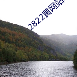 2822黄网站ios （复明）