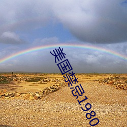 美国禁忌1980