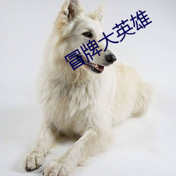 人生就是博·(中国区)官方网站