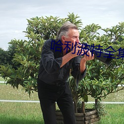 哈(哈)利波(波)特全(全)集