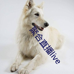聚合直播live