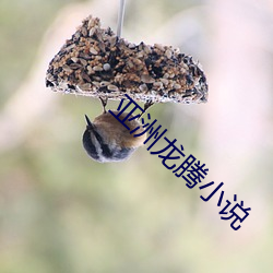 尊龙凯时·(中国)官方网站