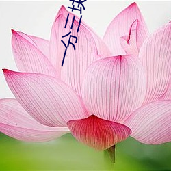 BG大游(中国)唯一官方网站