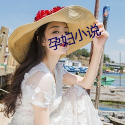 孕(孕)妇小说