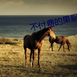 不(bù)付费的果(guǒ)聊(liáo)软件