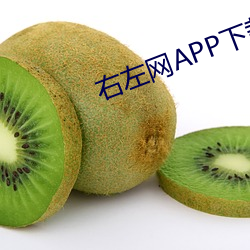 右左网APP下载网站