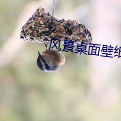 风(fēng)景桌面壁纸(zhǐ)高清