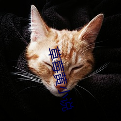 AG真人平台(中国)官方网站